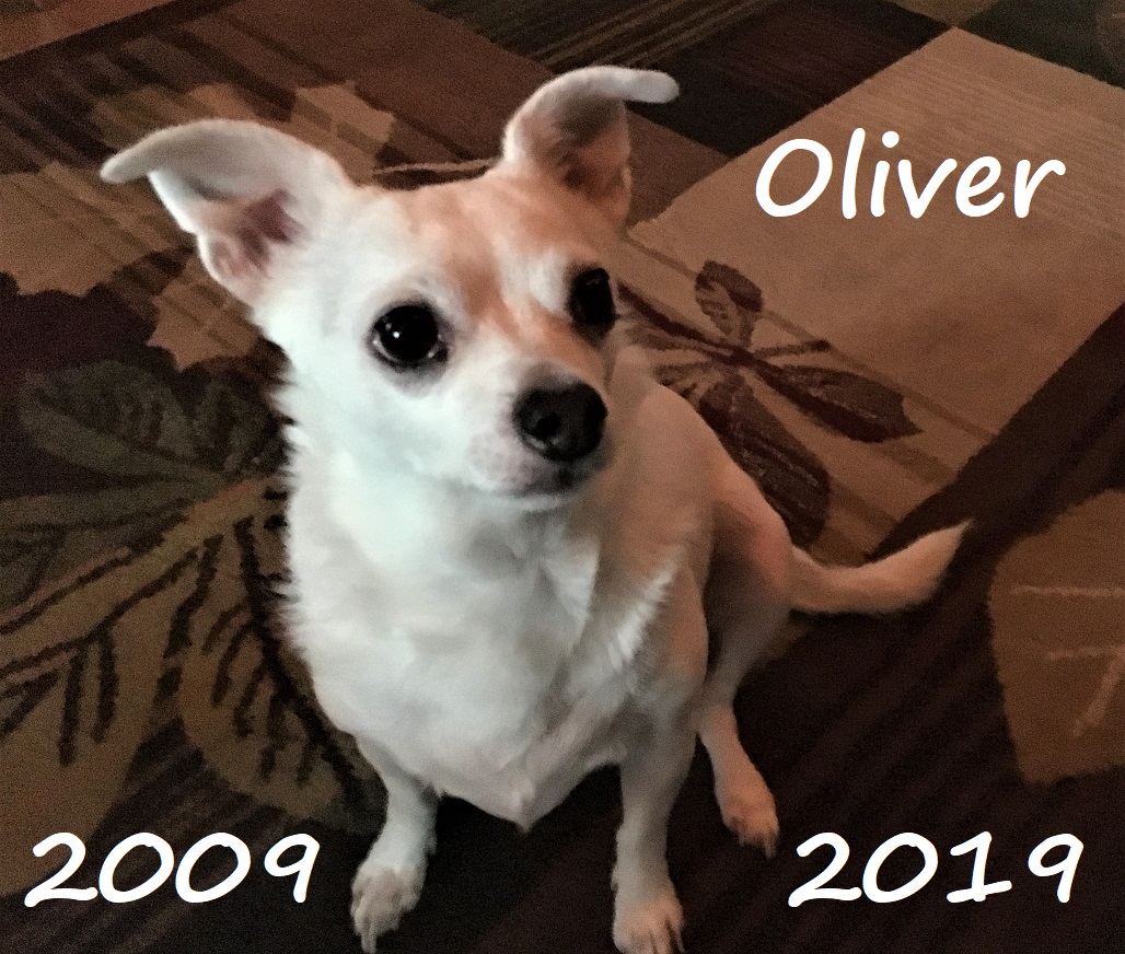Oliver "Ollie" Shively 